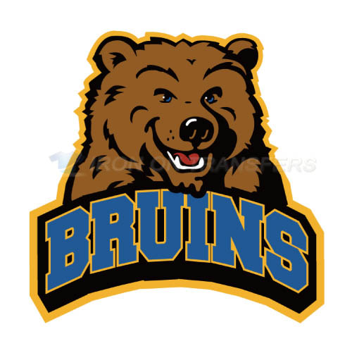 UCLA Bruins Logo T-shirts Iron On Transfers N6640